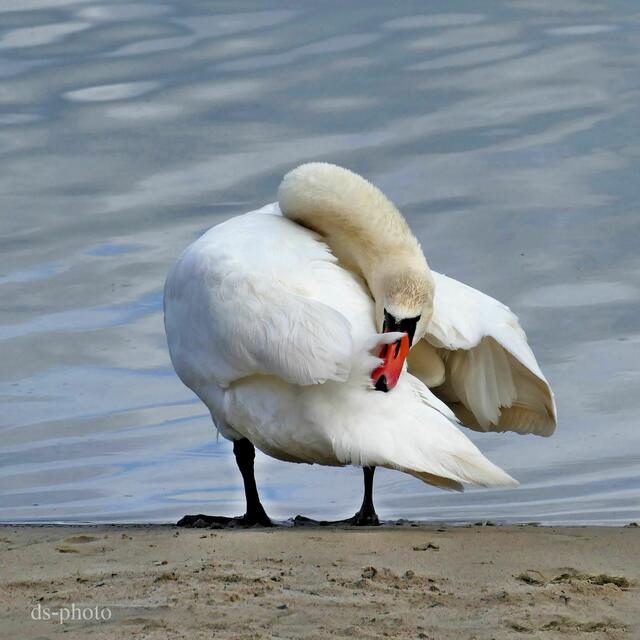 Foto: dieter@senger
