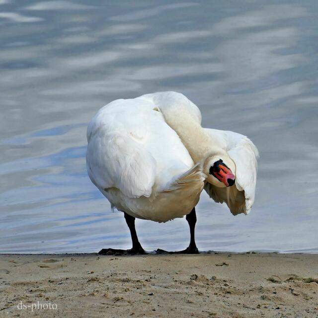Foto: dieter@senger