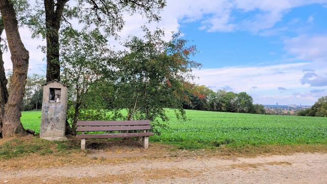Auf dem Wanderweg | Foto: Dr. Hubert Raab