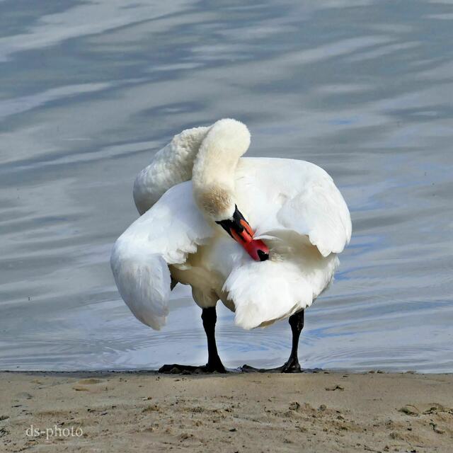 Foto: dieter@senger