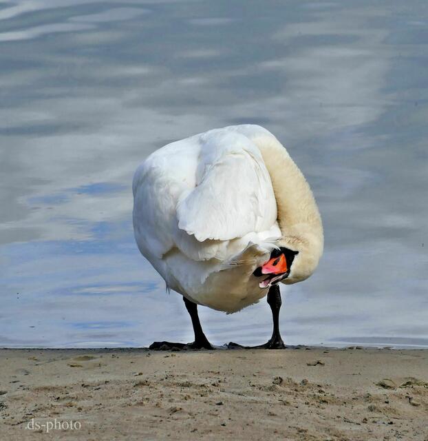 Foto: dieter@senger