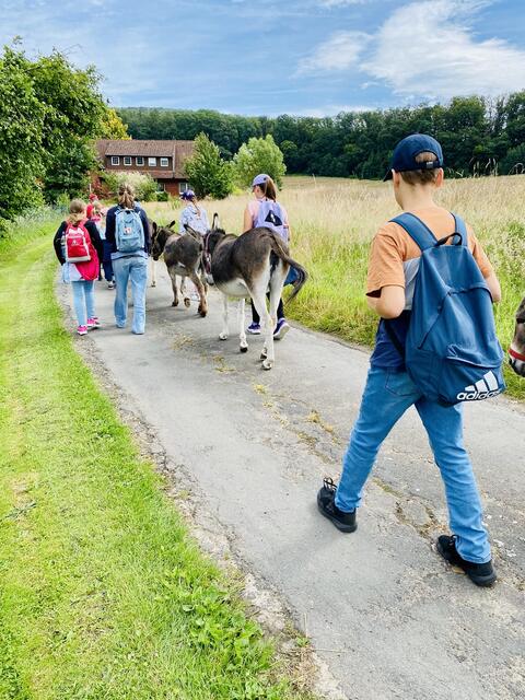 Eselwanderung in den Sommerferien im Ferienpass Sehnde, mit dem CDU Ortsverband Sehnde. Kommunalpolitik / Politik mal über den Tellerrand hinaus, Jugendarbeit macht Spaß. 

#ansprechbarinsehnde #rinteln #gemeinsamstarkfürsehnde #cduovsehnde #sehnde #ferienpass #sommerferien #familienstadt #FamilienstadtSehnde #Eselwanderung #jugendarbeit #kijutreff #kijutreffsehnde #cdusehnde #sehnde2026 #ansprechbar #gemeinsamstarkinsehnde #FerienpassSehnde #wirhabenspaß | Foto: (c) CDU OV Sehnde / jr / as