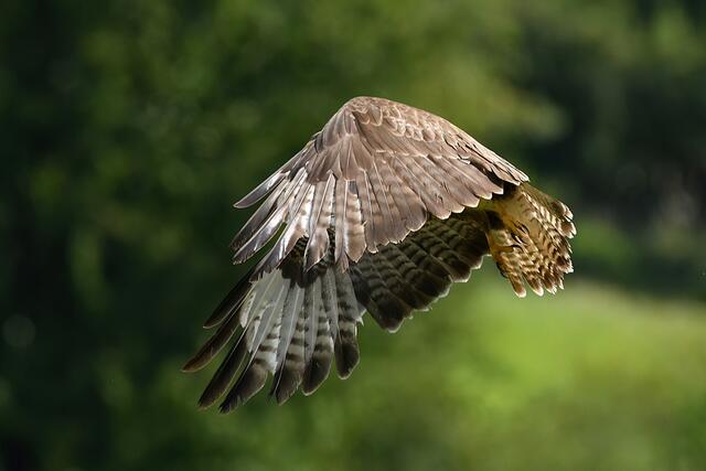 Foto: Copyright Andreas Schäfer