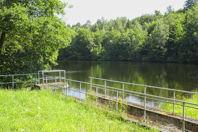 Erichsburger Teich
