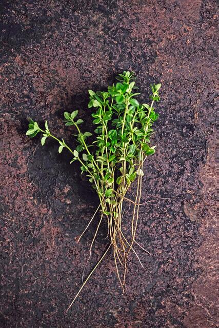 Quendel erinnert an Thymian und enthält besonders viele Antioxidantien. | Foto: djd-k/DJV/Deharde