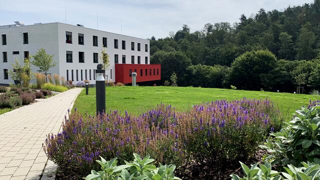 Parkanlage am Rheumazentrum