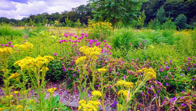 Ein herrlicher Anblick | Foto: Shima Mahi