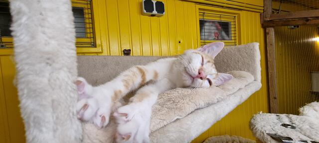 Peanut | Foto: Sabine Pollok