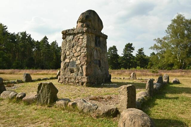 Ausflüge in der Südheide (Foto: Katja Woidtke)

Heideblüte am Wietzer Berg | Foto: Katja Woidtke