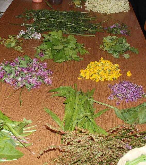 von unten nach oben: Löwenzahn, Sauerampfer, Spitzwegerich, Rotklee (Blüten), Hornklee, Frauenmantel und Girsch, Schafgarbe, Hollunderblüten.