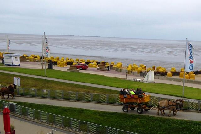 Am Morgen des 09.08.2024 ist die Wattenpost auf dem Weg zur Insel Neuwerk. Doch das Ziel konnte nicht erreicht werden, da das Wasser unterwegs zu hoch stand.