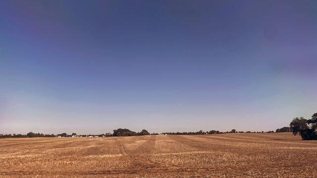 Wegen des trockenen Wetters sind die Felder am nördliche Stadtrand bereits abgeerntet. Foto: Helmut Kuzina