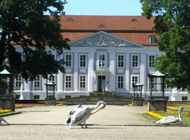 Schloss Friedrichsfelde