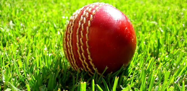 Susanne - 1 Punkt - Cricket