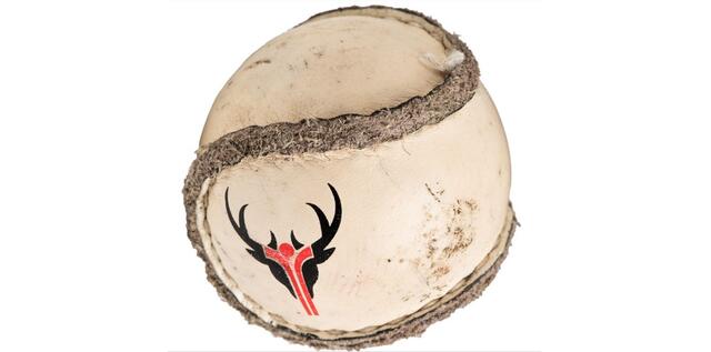 Nicole - 1 Punkt - Shinty