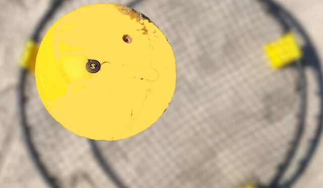 Susanne - 1 Punkt - Spikeball