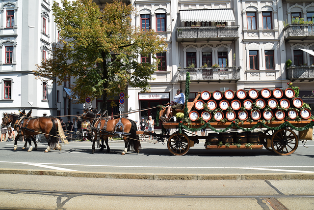 Foto: Martin Drittenpreis