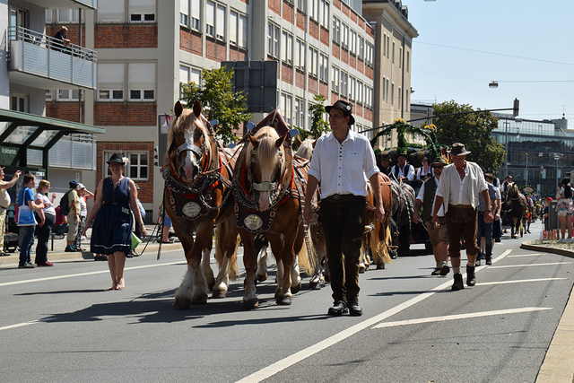 Foto: Martin Drittenpreis