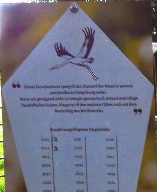 Jetzt steht es schwarz auf weiß auf der Tafel. Im Jahr 2024 verließen drei Jungstörche den Horst.
