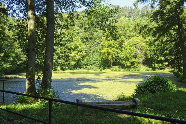 Sägemühlenteich