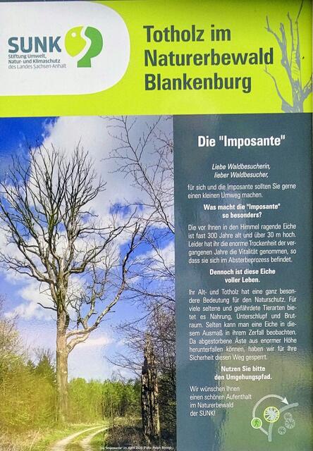 Ausschnitt der Informationstafel