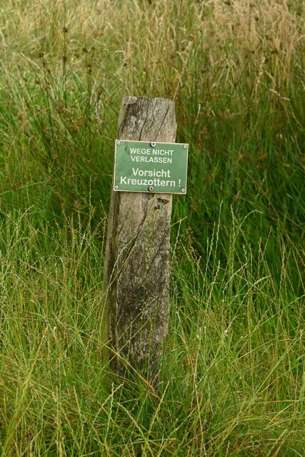Naturparadiese in Niedersachsen (Foto: Katja Woidtke)

Durchs Pietzmoor bei Schneverdingen | Foto: Katja Woidtke