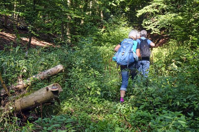 auf dem Grillenberger Rundwanderweg 