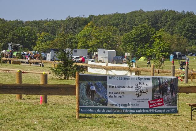 Waldtag 24 Wildenstall