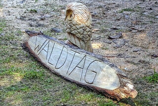 Auch ein Kettensägekünstler war am Waldtag 24 anwesend