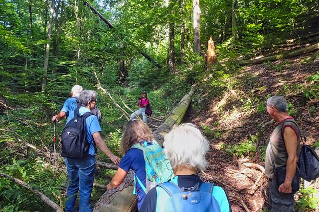auf dem Grillenberger Rundwanderweg