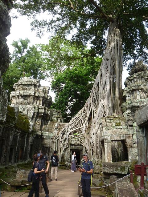 Ta Prohm Tempel.