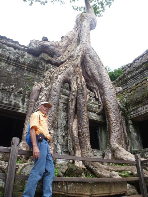 Ta Prohm Tempel.