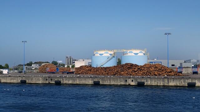 Der Seehafen hat sowohl mit rohem Rundholz als auch bereits verarbeitetem Schnittholz zu tun. Foto: Helmut Kuzina