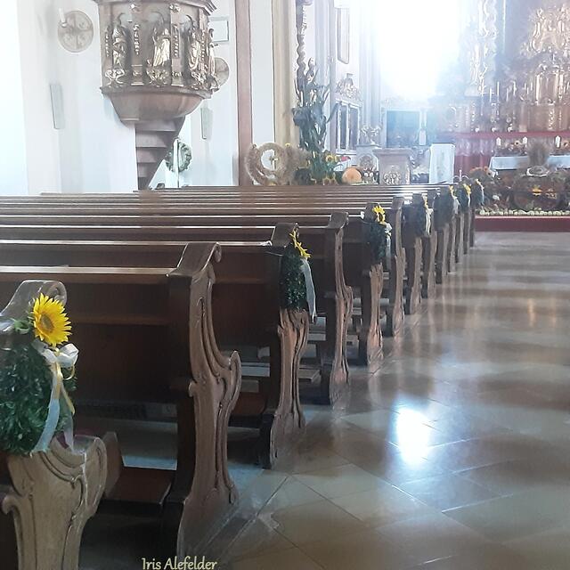 Foto: Iris Alefelder