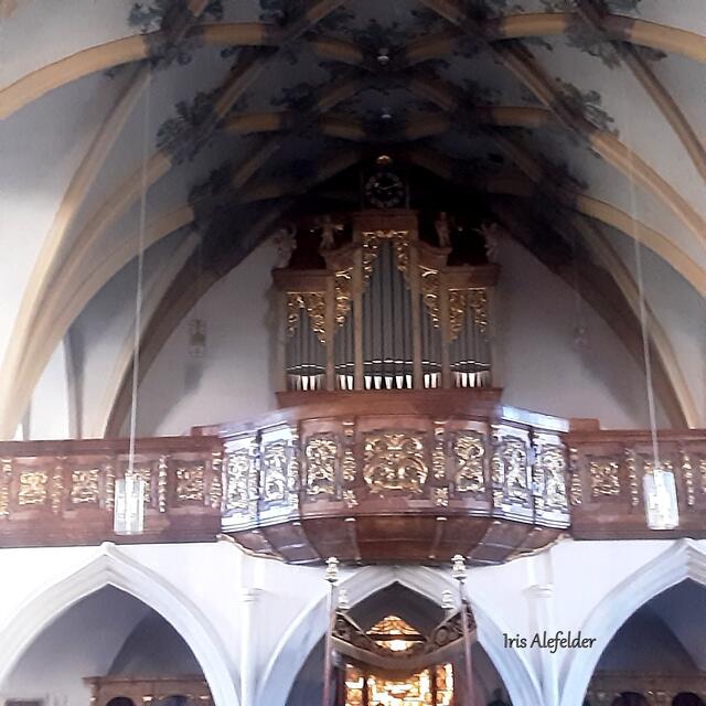 Wunderschöne Empore und Orgel. | Foto: Iris Alefelder