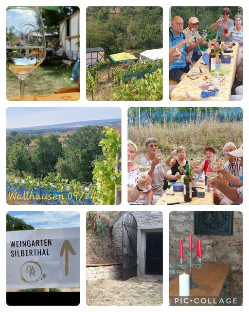 Weinbergwanderung 2024 nach Wallhausen | Foto: S. Frenzel
