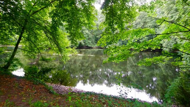 Die Stadtparkteiche sind immer wieder ein schönes Fotomotiv. | Foto: Shima Mahi
