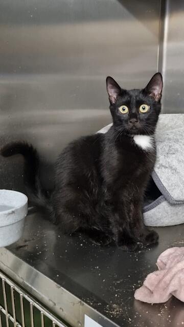 Thalia  | Foto: Sabine Pollok