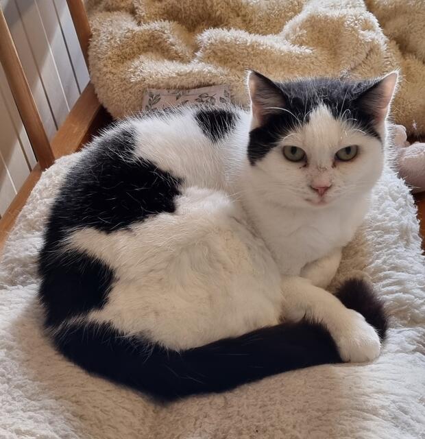 Sissi | Foto: Sabine Pollok