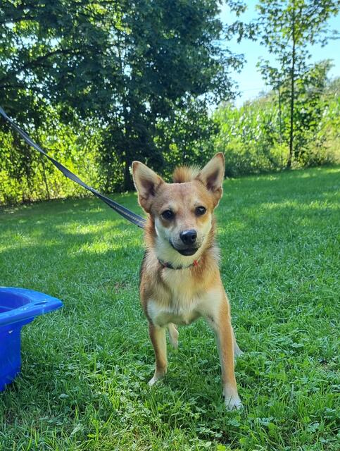 Jeronemo | Foto: Sabine Pollok