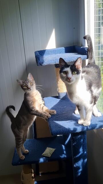 Naomi und Nica | Foto: Sabine Pollok