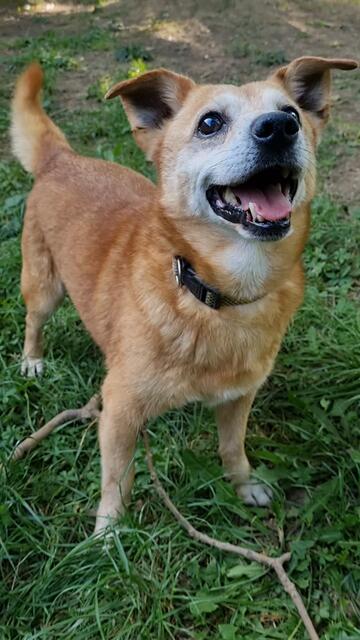 Pinsel | Foto: Sabine Pollok