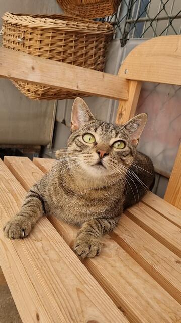 Luis | Foto: Sabine Pollok