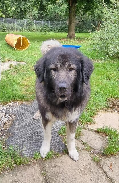 Tarek | Foto: Sabine Pollok