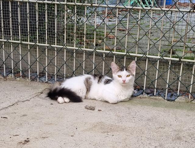 Fleur | Foto: Sabine Pollok