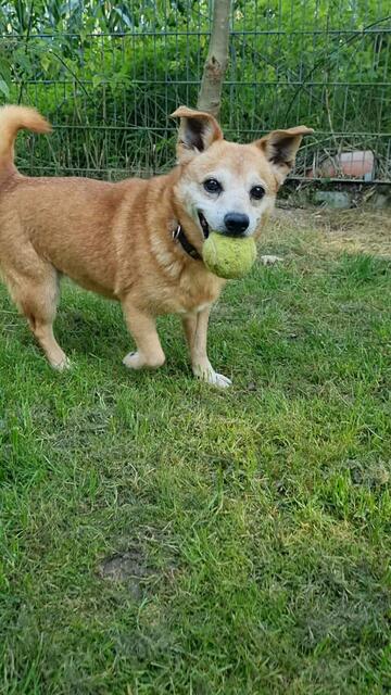 Pinsel | Foto: Sabine Pollok