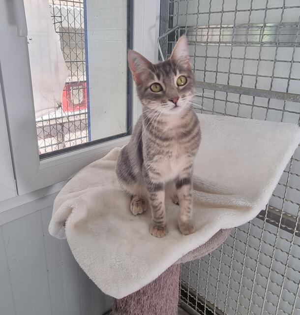 Naomi | Foto: Sabine Pollok