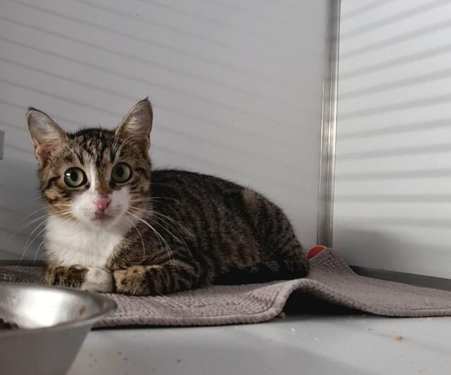 Tami | Foto: Sabine Pollok