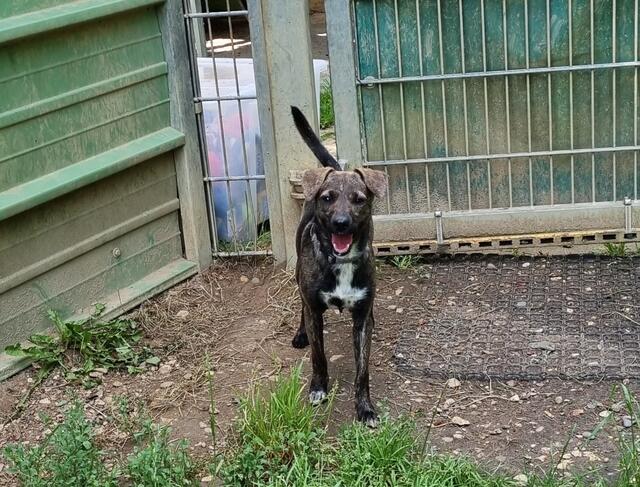 Prinzessin | Foto: Sabine Pollok