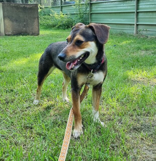 Ronja | Foto: Sabine Pollok